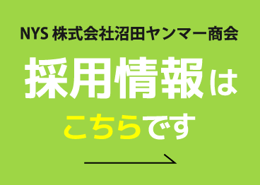 採用情報はこちら